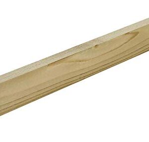 Wooden Batten | Treated Timber Battens | 25mm x 50mm | 0.9 Metre | Pack of 5