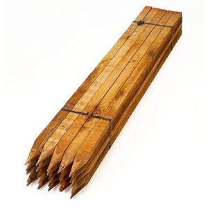 Homatz Garden Stakes 1.2m (4ft) 10 Pack, Long Square Wooden Stakes - Pressure Treated Timber for Plant & Tree Support - 3.2cm Thick Pegs